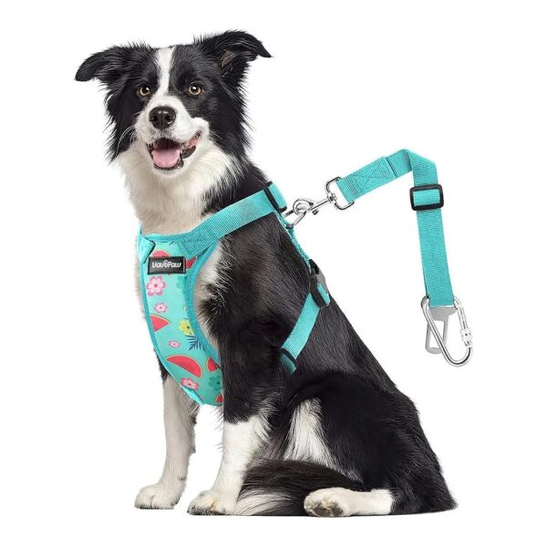 Strong Security Adjustable Padded Mesh Dog Car Seat Belt Leash Harness with Travel Strap