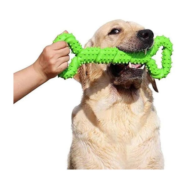 Strong Tug Toy Durable Chew Toy 13 Inch for Medium Large Dogs Teeth Cleaning and Play