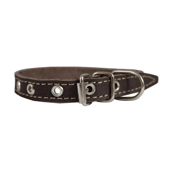 Strong and Adjustable Brown Leather Dog Collar for Small Dogs 5-13 inches