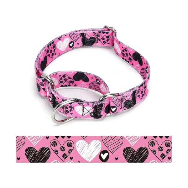 Strong and Adjustable Martingale Dog Collar with Secure Rings for Small Medium Large Dogs