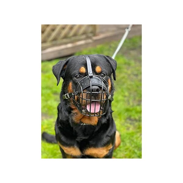 Strong and Durable Metal Muzzle Basket for Rottweiler and Golden Retriever Dogs