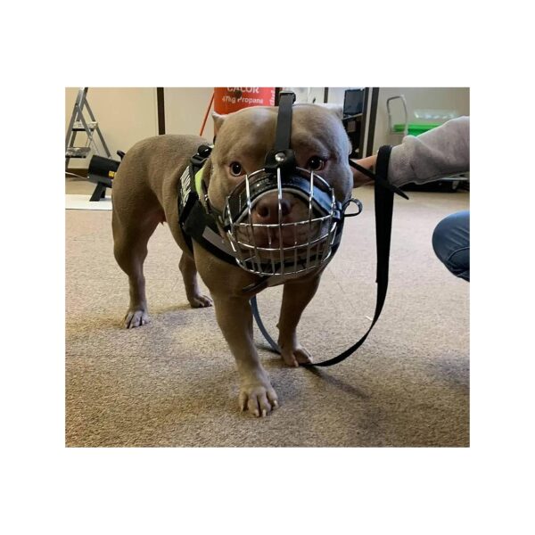 Strong and Durable Wire Basket Dog Muzzle for American Bully