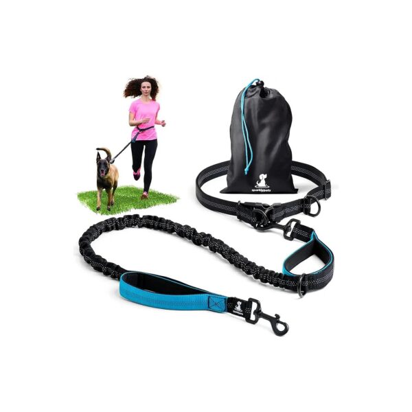 Strong and Flexible Handsfree Dog Leash for Controlling Medium and Large Dogs