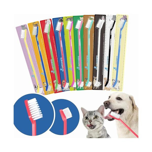 Sturdy Dog Oral Care Kit with 10 Colors, Dual-Head Design, and Comparison Card