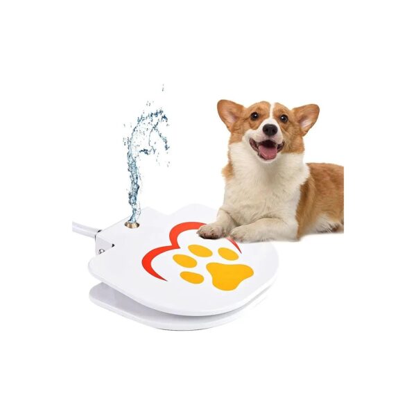 Sturdy Dog Water Fountain with Easy Paw Activation and Constant Stream