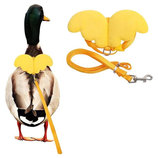 Sturdy Nylon Leash for Pet Duck or Chicken Outdoor Training XS