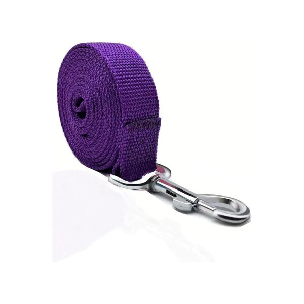 Sturdy Purple Nylon Dog Leash for Small Medium Large Dogs 15 ft Long