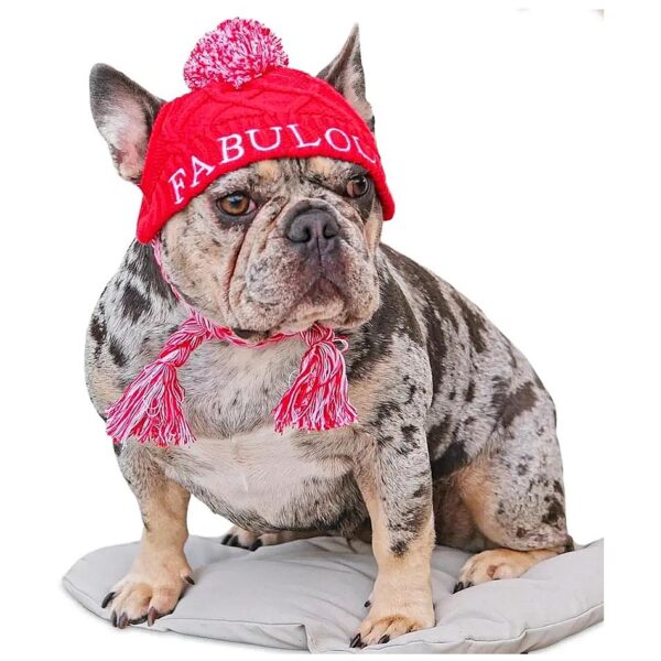 Stylish 100% Cotton Dog Beanie Hats with Ear Holes for Small Breeds