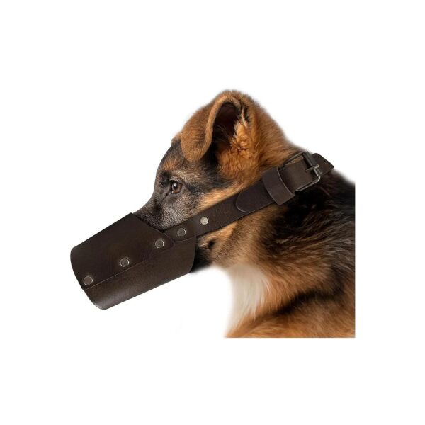 Stylish Leather Muzzle for Medium-Breed Dogs with Secure Training Cover