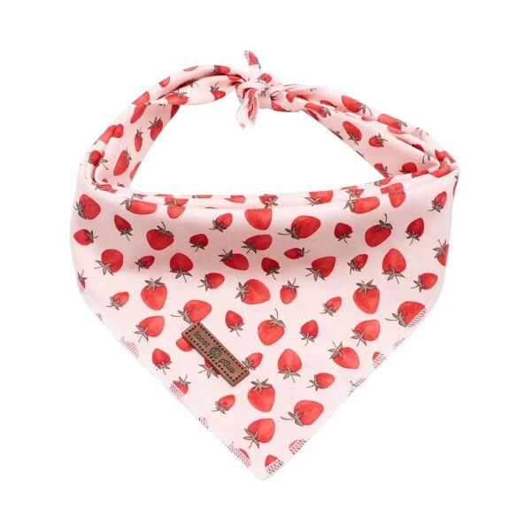 Stylish Pink Dog Bandana for Small and Medium Sized Dogs