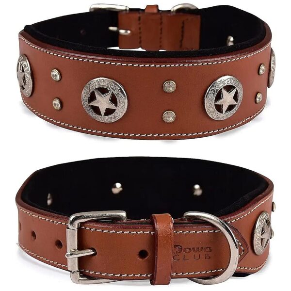 Stylish and Durable Saddle Grade Leather Dog Collar for Medium to Large Breeds