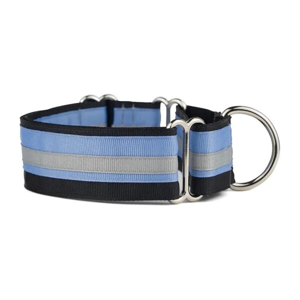 Stylish and Functional Martingale Collar for Dog Training and Walking