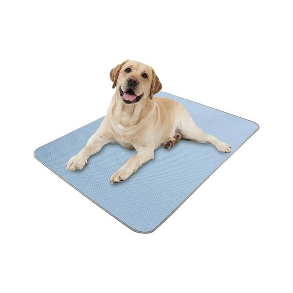 Summer Cooling Dog Mat for Small Medium Large Dogs and Cats Soft Inner Layer