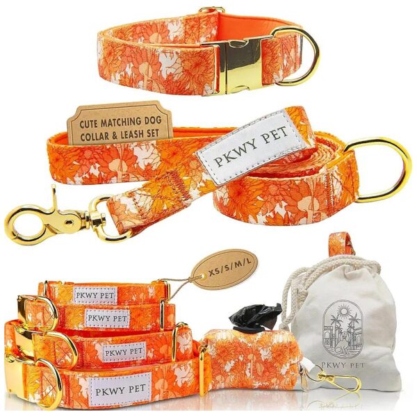 Sunset Avenue Matching Dog Collar and Leash Set with Storage for Small Dogs