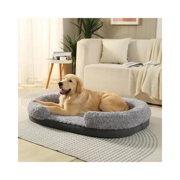 Super Soft and Waterproof Medium Dog Bed with Reversible Memory Foam and Easy Cleaning