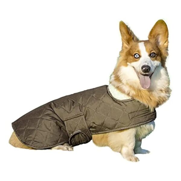 Super Warm Windproof Dog Coat for Small Dogs Adjustable Belt Brown with Fleece Lined