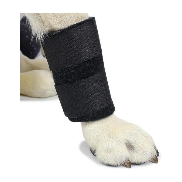 Supportive Canine Carpal Joint Wrap for Dogs with Arthritis and Injuries