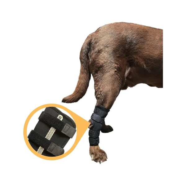 Supportive Canine Hock Joint Braces with Metal Springs for Arthritis Suffering Dogs