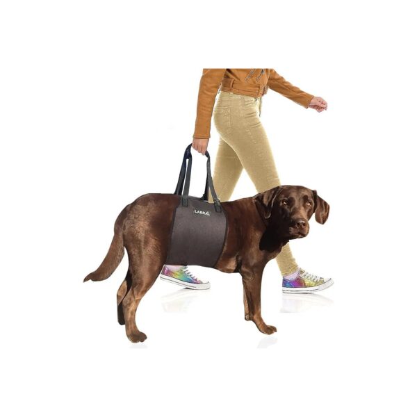 Supportive Dog Sling Lift with Adjustable Straps for Canine Rehabilitation