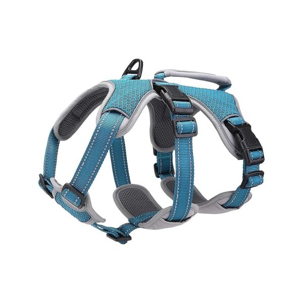 Supportive Dog Walking Harness for Large Active Breeds Blue Size L