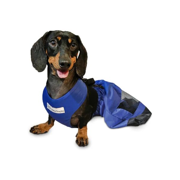 Supportive Drag Bag for Rear Leg Paralyzed Pets with Adjustable Fit