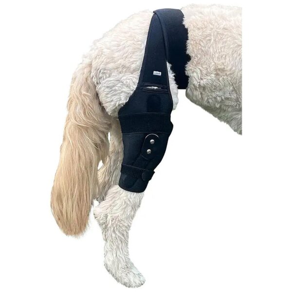 Supportive Metal Hinged Knee Brace for Dogs with ACL, CCL, or Luxating Patella