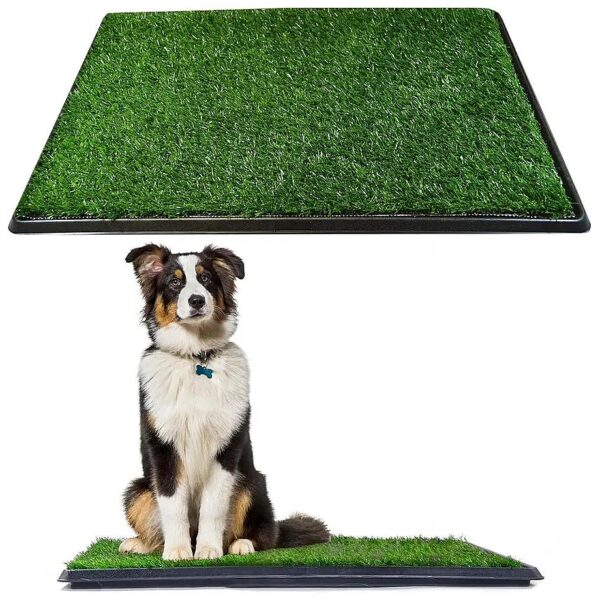 Synthetic Grass Dog Potty System with Tray for Indoor and Outdoor Use