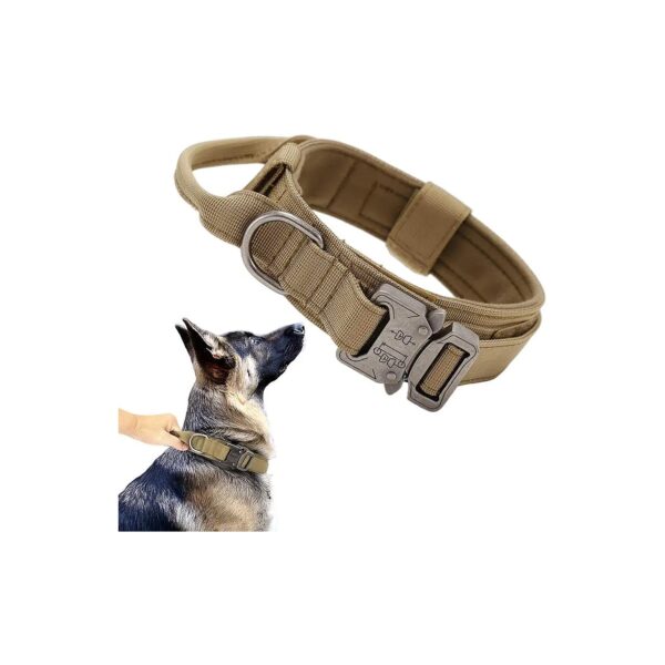 Tactical Nylon Dog Collar with Metal Buckle and Adjustable Handle for Medium Large Dogs