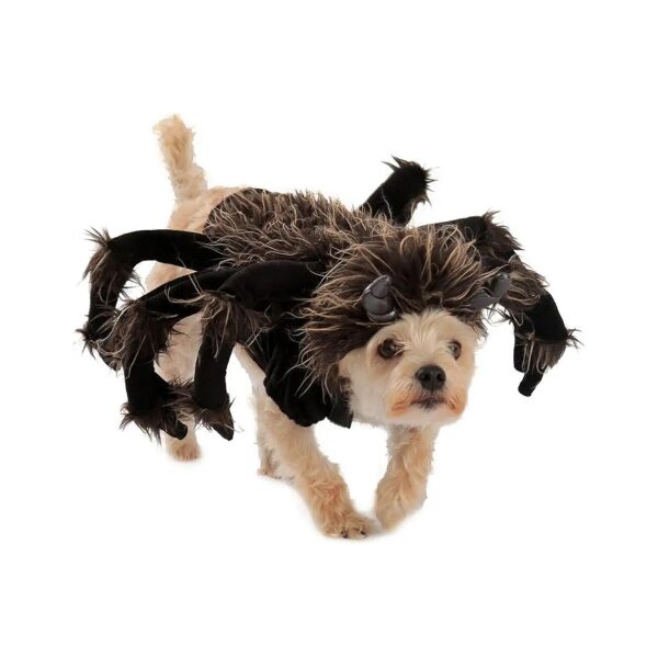 Tarantula Dog Costume for Small Breeds with Attached Hood and Legs for a Unique Look