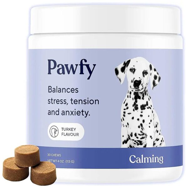 Tasty Treats for Calming Dogs with Separation Anxiety and Travel Stress