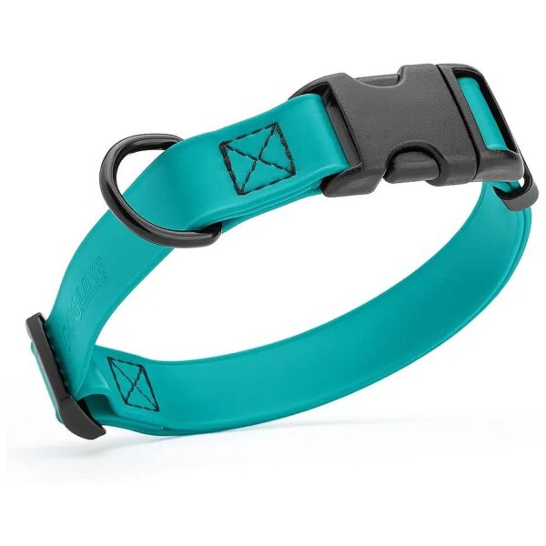 Teal Dog Collar with Strong Coated Nylon Webbing for Easy Care