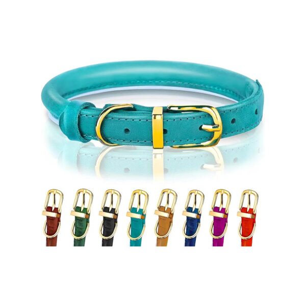 Teal Leather Pet Collar for Small Dogs with Reflective Threading and Adjustable Fit