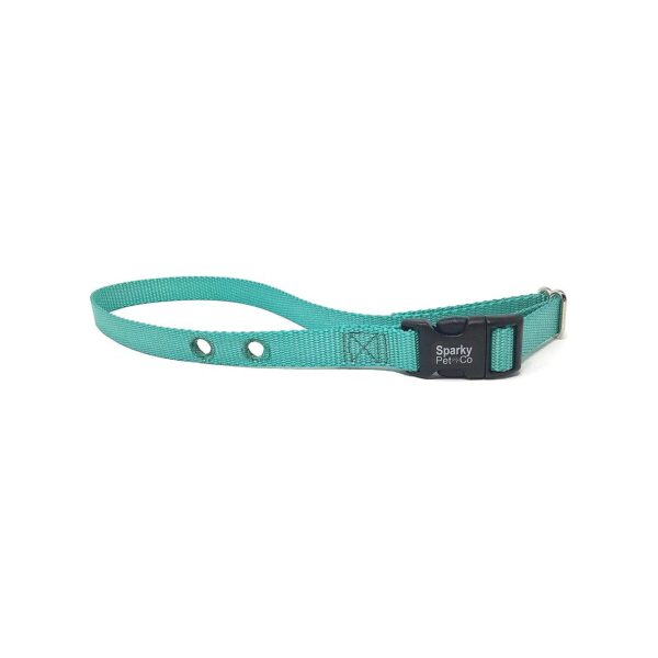 Teal Nylon Dog Collar with 2 Holes 25 Apart Compatible with PetSafe