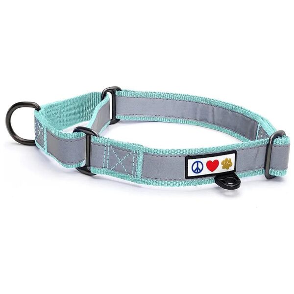 Teal Reflective Martingale Dog Collar for Small Dogs Behavioral Control Puppy