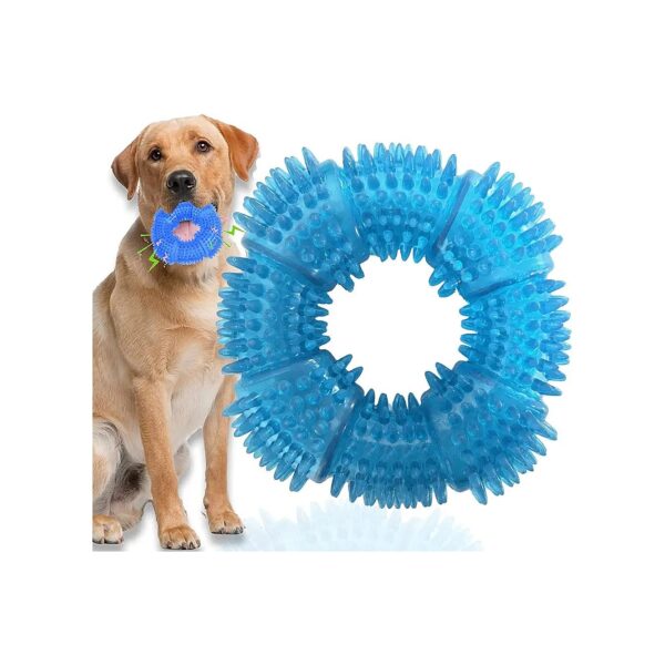 Teething Ring for Large Dogs with Soft Spines and Squeaker Sound