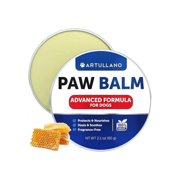 The Best Paw Balm for Dogs - Soothe, Nourish, and Protect Dry Skin