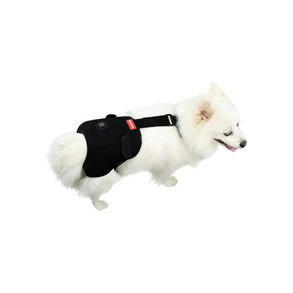 Thermal Insulation Dog Hip Bandage for Joint Pain and Discomfort