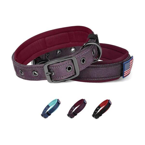 Thick Adjustable Nylon Reflective Dog Collar with Metal Buckle for Small to Medium Breeds