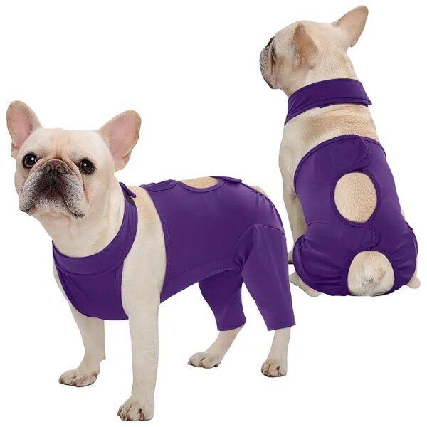 Thigh Wound Recovery Suit for Female Male Dogs After Abdominal Surgery