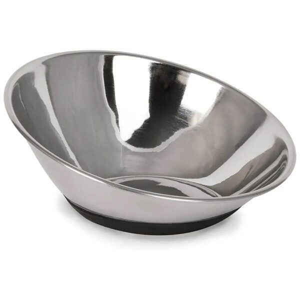 Tilted Dog Bowl Feeder with Nonslip Base for Small to Medium Breeds