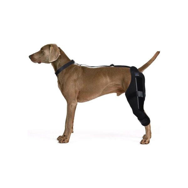 Top Quality Dog Knee Support for Torn Acl Hind Leg with Side Stabilizers and Harness