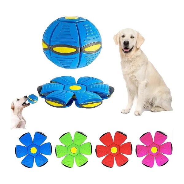 Top Quality Frisbee Ball for Small Dogs, Enjoyable Pet Toy for Busy Paws