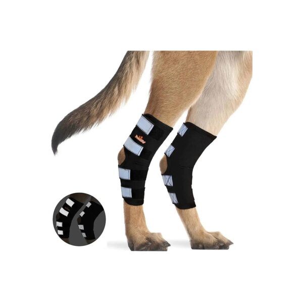 Top-Quality Dog Rear Leg Support Braces with Reflective Velcro Straps for Enhanced Safety