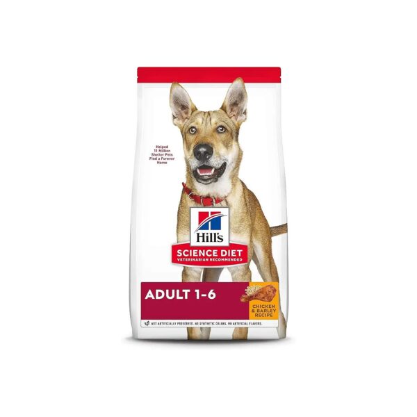 Top-Rated Adult Dog Food with Chicken, Barley, and Vitamin E