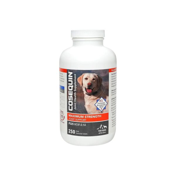 Top-Rated Joint Health Supplement for Dogs with Glucosamine and Chondroitin