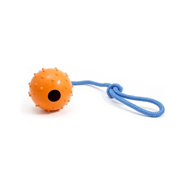 Training Puppy Ball with Rope for Puppy Socialization