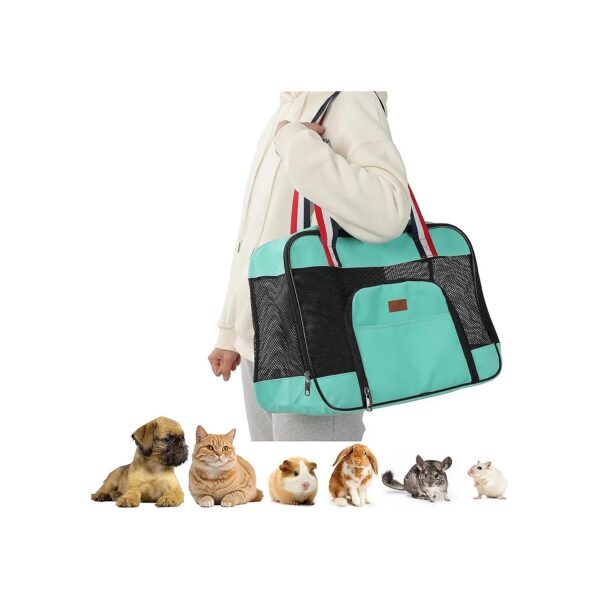 Travel-Friendly Pine Green Cat Carrier with Airline Approval for Small Animals and Dogs