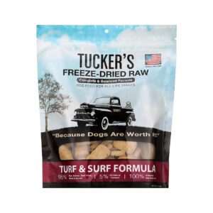 Turf and Surf Inspired Freeze Dried Raw Dog Food Formula