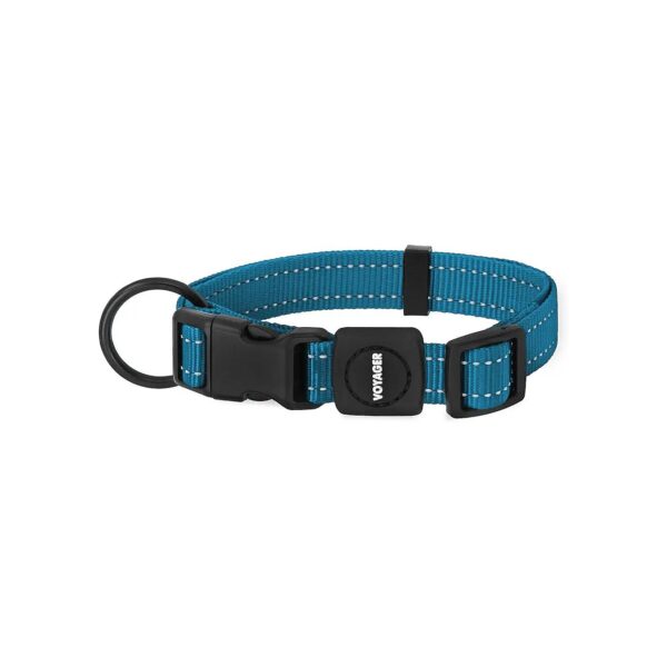 Turquoise Nylon Dog Collar with Adjustable Length for Training and Walking