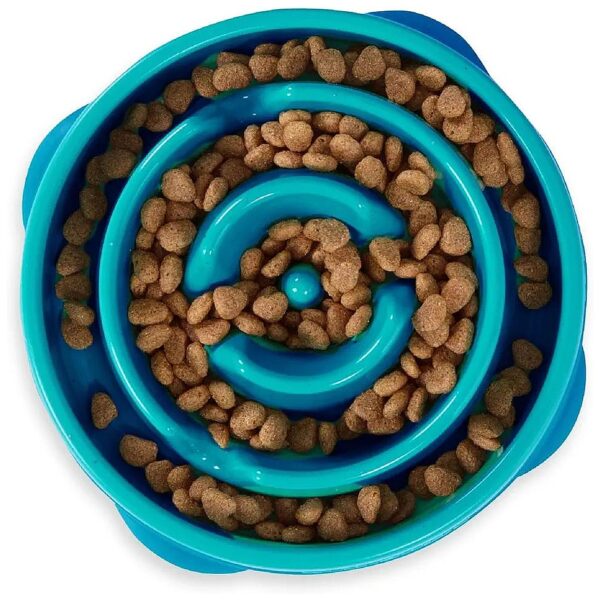 Turquoise Slow Feeder Dog Bowl for Dry, Wet, or Raw Food Diets